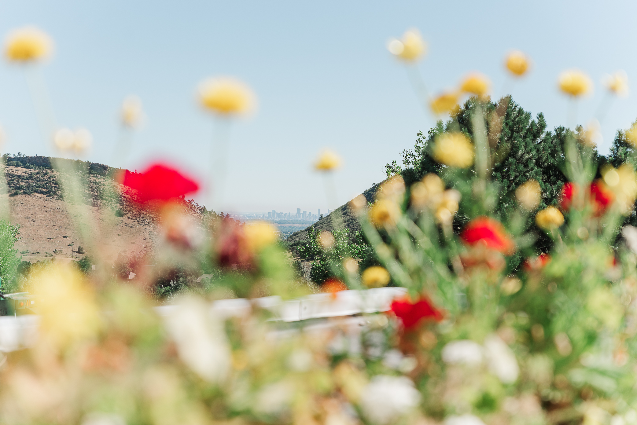 A close up of Denver in the background of The Manor House ceremony site from the patio with red and yellow flowers in the foreground